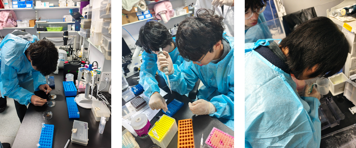 1762845834452098227.jpg 微信图片_20251111143133_161_110.jpg